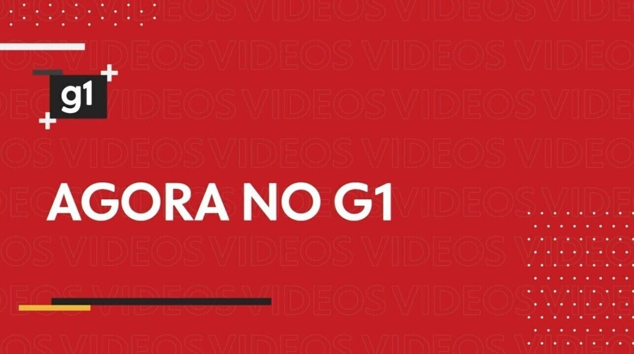 São João 2026 no Pará: veja a programação das festas nos municípios paraenses