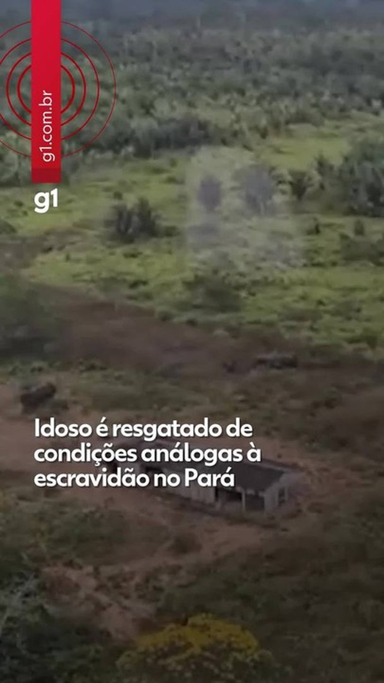 Imagens mostram local onde trabalhador em situação análoga à escravidão foi resgatado de helicóptero na Amazônia